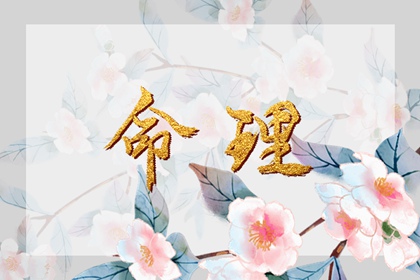 算命紫微斗数 命盘查询免费算命 卦命盘 命盘排盘 紫微婚姻免费测算 排命盘八字